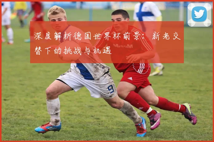 深度解析德国世界杯前景：新老交替下的挑战与机遇