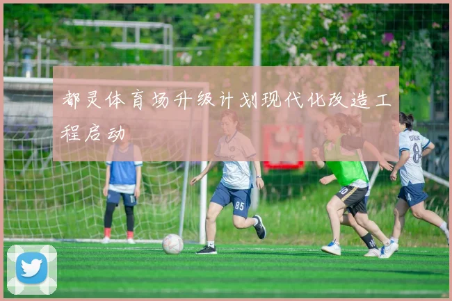 都灵体育场升级计划现代化改造工程启动